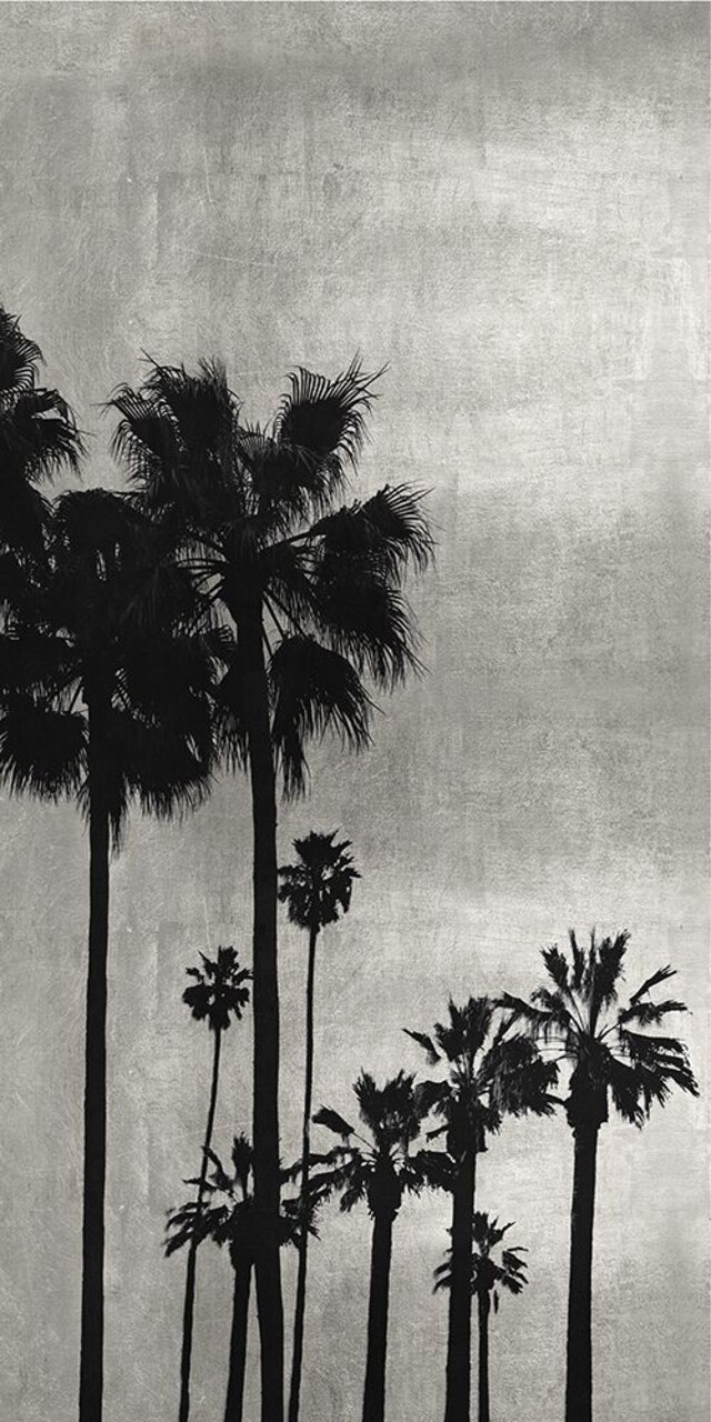 Palm Silhouette on Silver I Poster Print by Kate Bennett # KTB115121